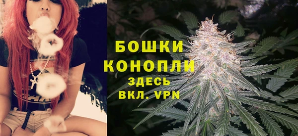 дурь Михайловск