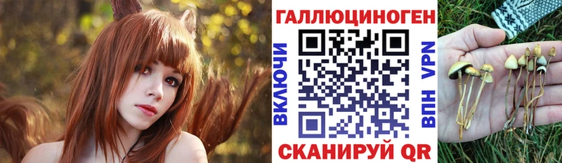 Галлюциногенные грибы MAGIC MUSHROOMS  Курск 