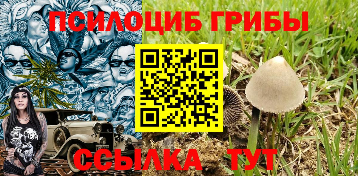 Курск  Галлюциногенные грибы Cubensis  как найти   Вход с VPN 
