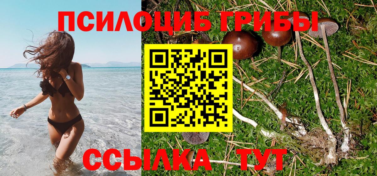 Галлюциногенные грибы MAGIC MUSHROOMS  Курск  Галлюциногенные грибы Psilocybine cubensis 