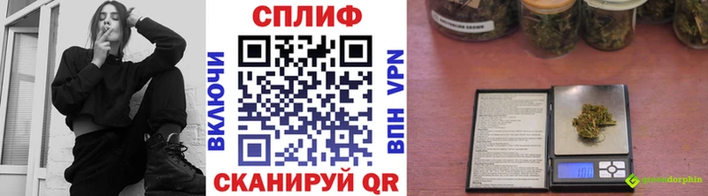 где продают наркотики  Курск  сайты даркнета как зайти  Каннабис семена  МЕГА рабочий сайт 